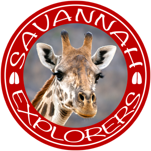 Savannah Explorers logo